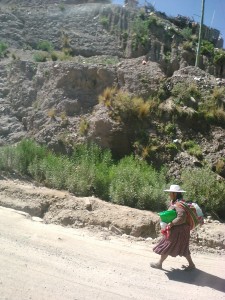 15.paysage bolivien